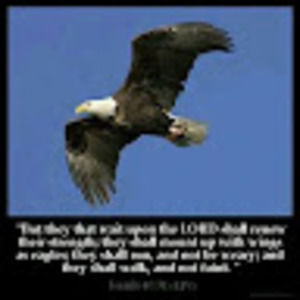 Meet your Posher, Orin